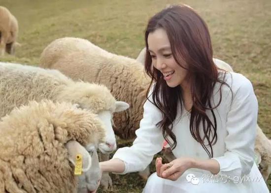 明星旅行糗事一籮筐 總有一個萌到你！