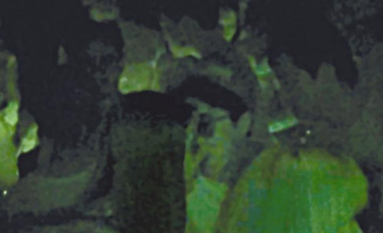房祖名去年被港媒直擊在中環(huán)夜店與長發(fā)妞互動(dòng)曖昧，女生正是Nana