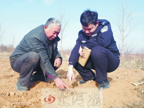 牡丹苗被盜之后，郭萬通又補種的牡丹苗已經(jīng)發(fā)芽