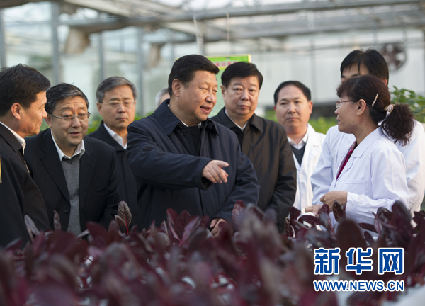  27日下午，習近平在山東省農(nóng)業(yè)科學院智能化溫室了解農(nóng)業(yè)科技創(chuàng)新情況。