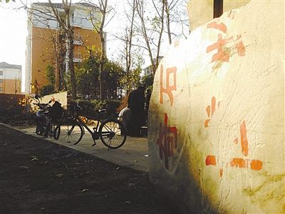 昨日，“上海奇石盆景博物館”原址上，已矗立起小區(qū)樓盤(pán)，而刻著博物館名的巨石，廢棄在一旁。本版圖片/新京報(bào)記者 張永生 攝