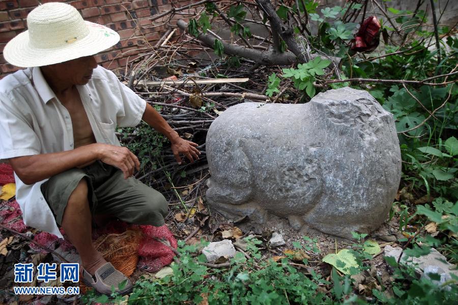 朝陽鎮(zhèn)后李村業(yè)余文保隊員，今年65歲的李連堂在上世紀平整土地時候，從地里挖出一個石羊殘身，至今仍放在