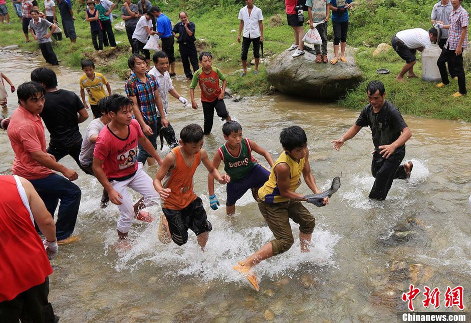 7月9日，村民在小河里摸魚搶魚。譚凱興 攝