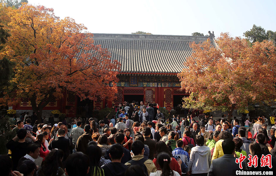 　10月26日，北京香山公園內(nèi)游客摩肩接踵。