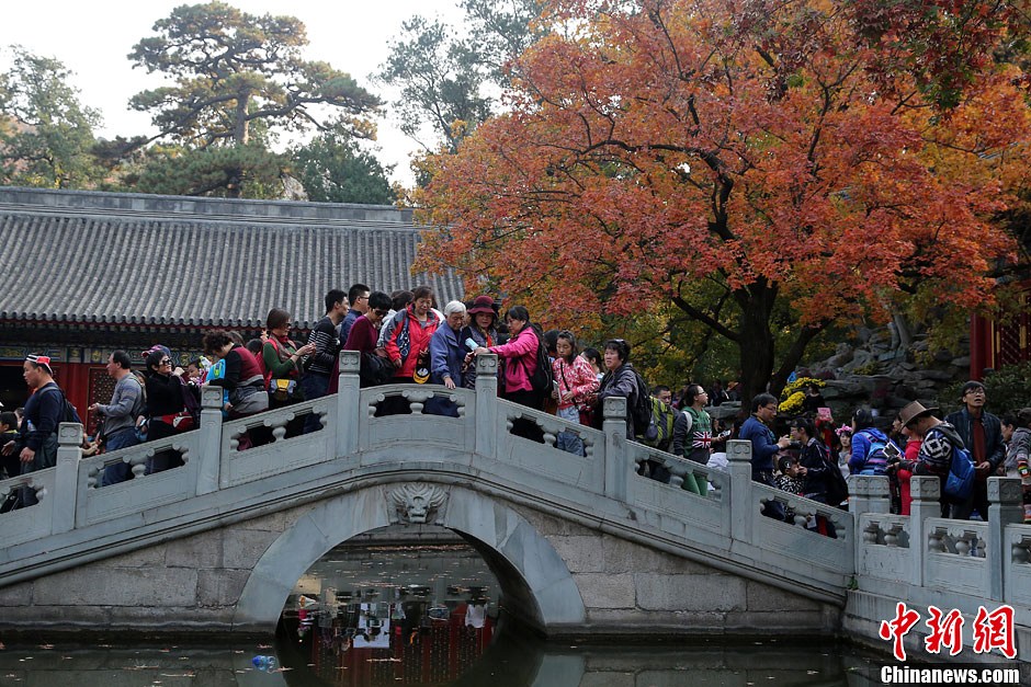 　10月26日，北京香山公園內(nèi)游客摩肩接踵。