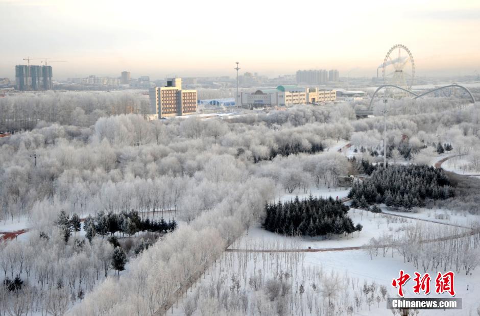 12月10日,受降溫天氣影響,黑河市黑龍江江畔出現(xiàn)綿延數(shù)公里的霧凇景觀。