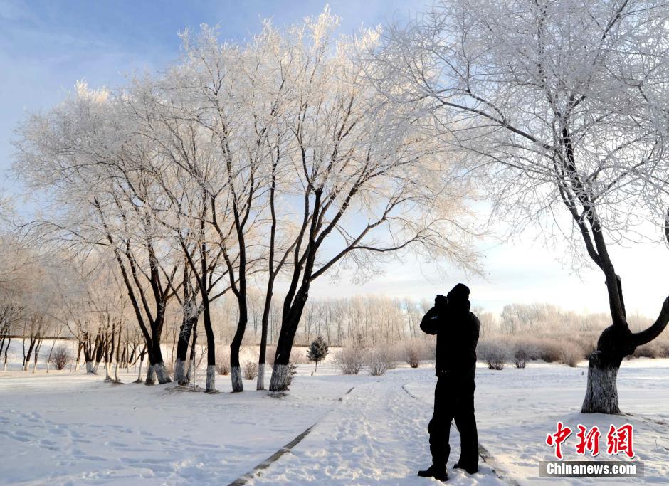 12月10日,受降溫天氣影響,黑河市黑龍江江畔出現(xiàn)綿延數(shù)公里的霧凇景觀。