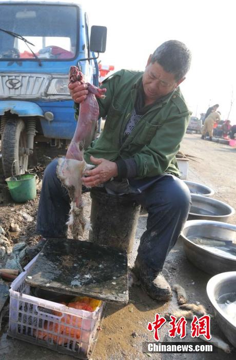 圖為12月1日，104國(guó)道靜?？h城附近，顧客挑好后，商販拎著死兔將皮完整地扒下來(lái)。田寶希 攝 圖片來(lái)
