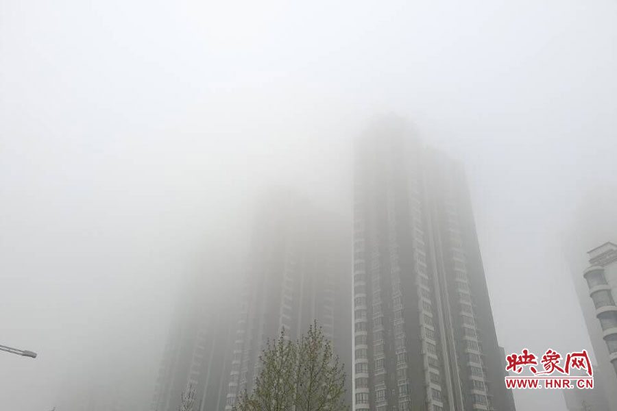 鄭州現(xiàn)大霧天氣，宛若仙境