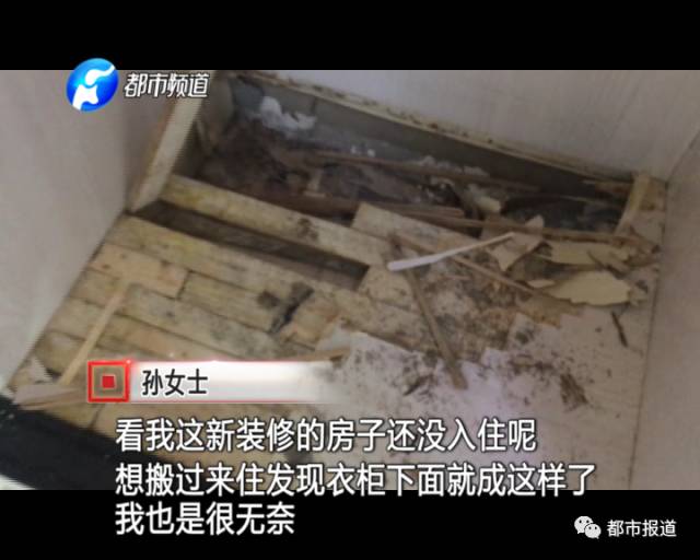 蟻族大軍入侵！十幾萬裝修的新家被“吃掉”