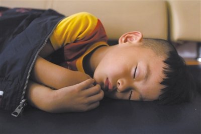 9月6日，等待錄制節(jié)目的多多躺在沙發(fā)上熟睡。新京報記者 侯少卿 攝
