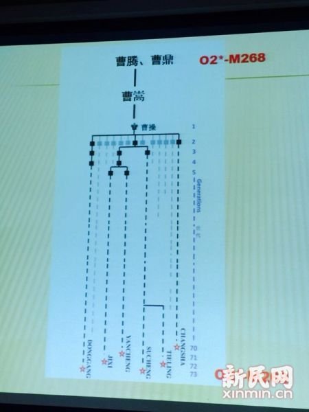 圖說(shuō)：復(fù)旦課題組發(fā)布曹操家族DNA研究結(jié)果。新民網(wǎng) 記者 李欣 攝