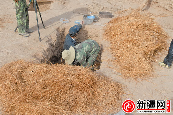 考古人員正在清理麥稈。（圖由中國科學(xué)院人文學(xué)院科技室與科技考古系提供）