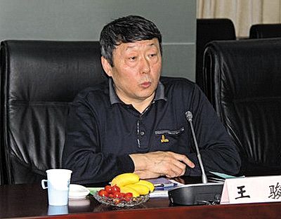 國家能源局新能源和可再生能源司司長王駿。