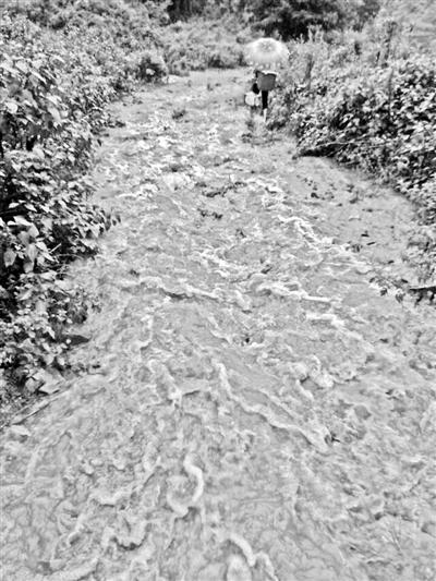 梅子回家的山道，晴天是路，雨天是河