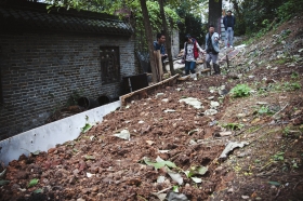 27日，天心區(qū)青山祠福王墓附近，小山坡被人開(kāi)墾成梯田種菜?！　D/實(shí)習(xí)生蔣麗梅