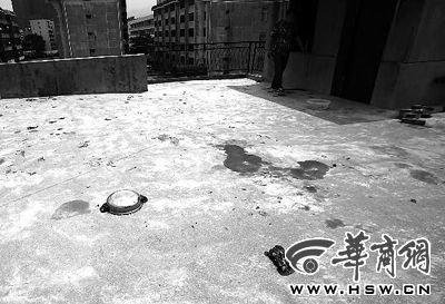 藏獒就養(yǎng)在這個(gè)樓頂，孩子從欄桿處墜落 本報(bào)記者 趙航 攝