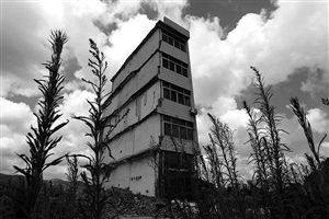 這幢5層的“片片樓”周圍已是一片拆遷后的廢墟，左邊的一堵墻上，不少鋼筋裸露在外面 圖片來源：新華網(wǎng)