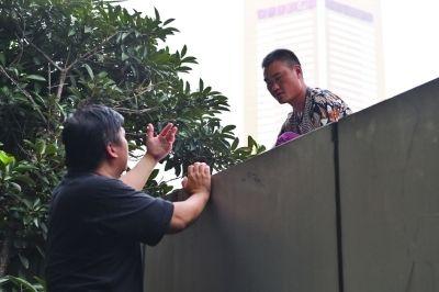 黃主任站在獨(dú)木樁上與男子交談了近半小時。