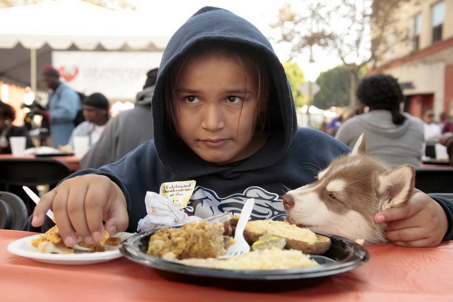 11月21日，加州洛杉磯的游民巷，12歲的堂娜·赫南德茲抱著愛犬“湯米”，安靜地吃著免費(fèi)的感恩節(jié)飯菜