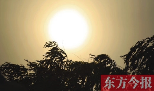 五月十四日，傍晚時分，鄭州的天空再次被沙塵遮蓋