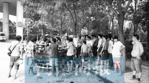 北環(huán)南陽(yáng)路立交橋下，瓜農(nóng)小秦被打后，附近瓜農(nóng)紛紛圍了上來(lái)