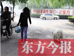 啟明一巷內(nèi)，一名女子帶著狗狗去買菜。狗隨地大小便，狗的主人未制止