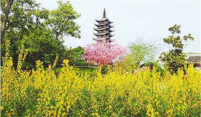 綠博園盛開的鮮花“期待”和市民“約會(huì)”。