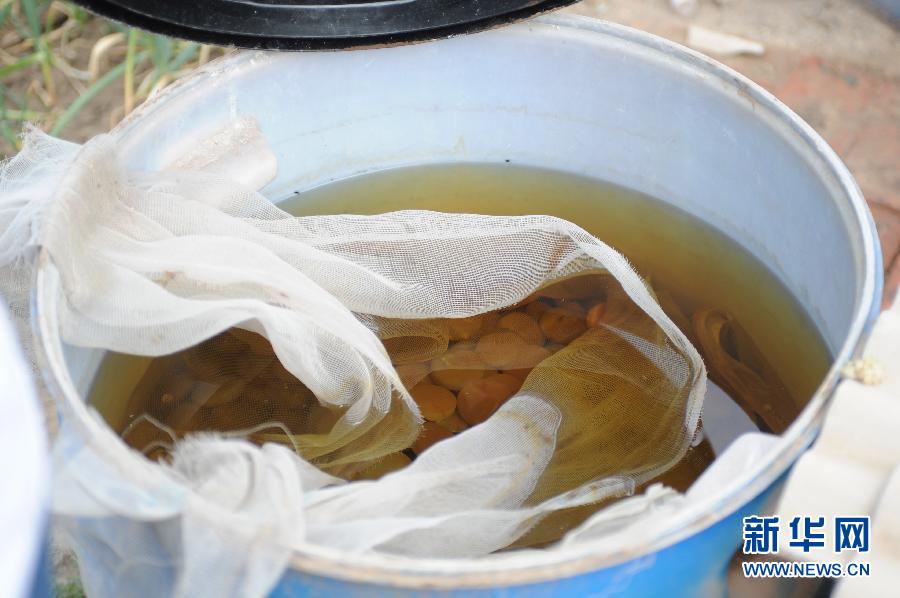 地下水成“綠茶”　污染二十多年該誰治？