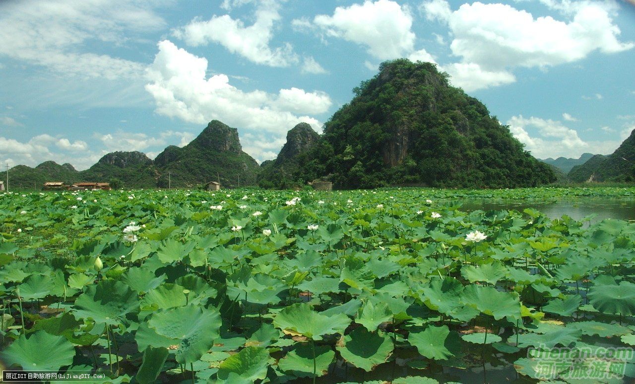 爸爸去哪兒？親密接觸荷花仙子
