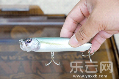 　　又稱擬餌釣魚,起源于歐洲,國內(nèi)翻譯為“路亞”。