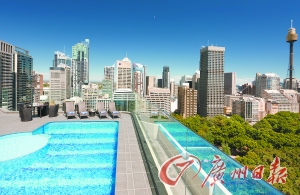 酒店屋頂游泳池俯瞰公園美景。