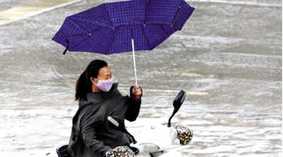 昨日下午，隴海路上，雨中風(fēng)大，一位女士的傘被吹翻了。