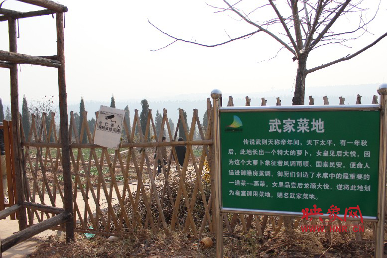 武家菜地就是這，據(jù)說(shuō)里面有個(gè)特大的蘿卜