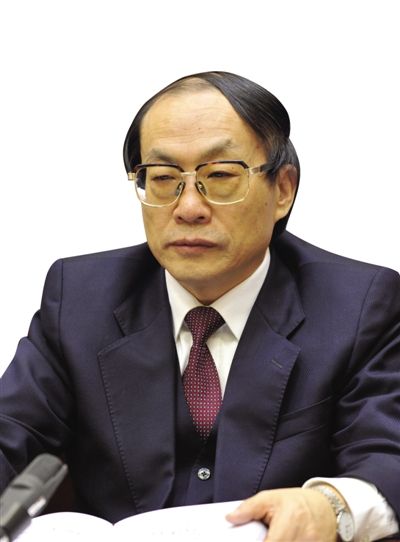 劉志軍（資料圖片）。新華社發(fā)