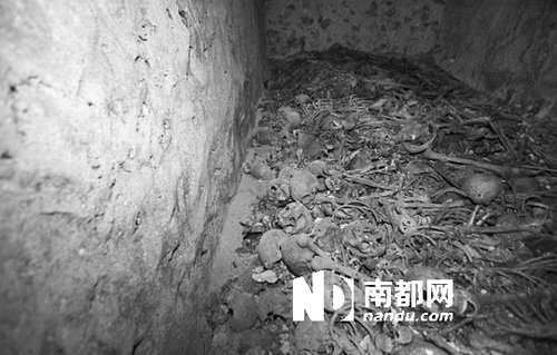 　5月29日，在以色列特拉維夫市雅法地區(qū)，一處集體墳?zāi)贡话l(fā)現(xiàn)。