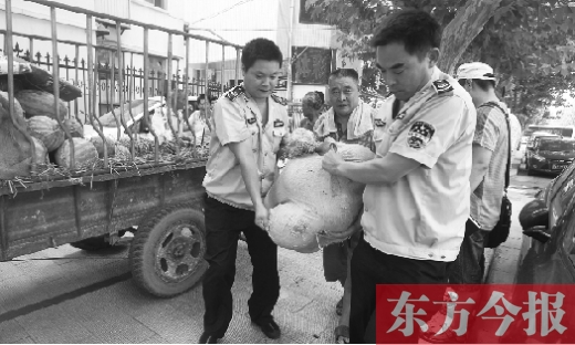 昨日，鄭州金水區(qū)執(zhí)法局的執(zhí)法隊員捐錢買瓜，替瓜農(nóng)解憂