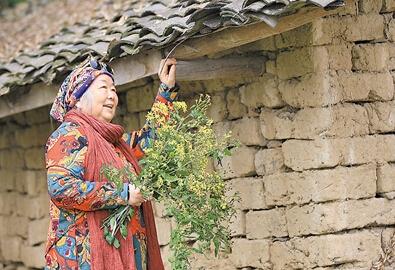 公式“時尚奶奶”的賞花照，收獲了好多人的點(diǎn)贊。 受訪者供圖