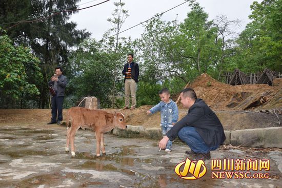 村里人知道后，前來看熱鬧
