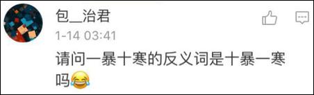 鶴立雞群？雞立鶴群！