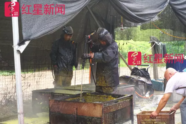文玩核桃遇冷由幾萬一對降到5元沒人要？商戶否認