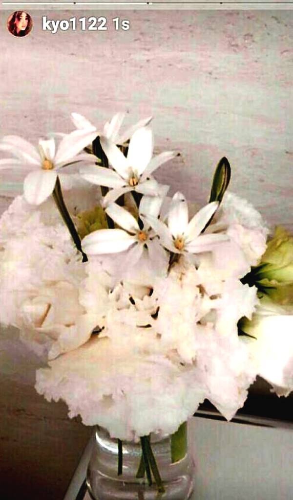 鮮花滿(mǎn)屋