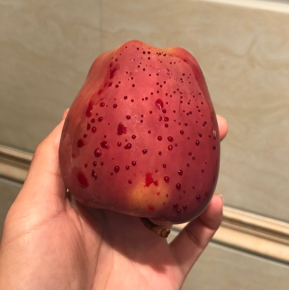 嚇懵！女子用熱水泡蘋(píng)果結(jié)果冒出血珠 咋回事？