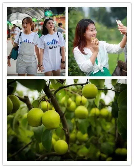 美女與香梨，你更愛(ài)哪一個(gè)？！