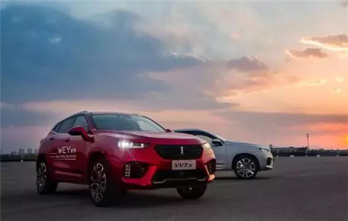 去年“蹦”出來(lái)的新汽車品牌們，現(xiàn)在活得怎么樣了？