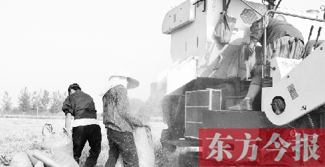 李正厚的妻子鮑本華（右）和一位村民拎著麻袋來到收割機前，接住傾倒出來的麥粒