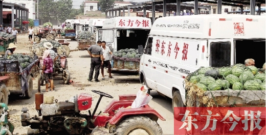 昨日，東方今報(bào)與河南福壽園聯(lián)合購(gòu)瓜，只有更多的市民和企業(yè)加入購(gòu)瓜行動(dòng)，瓜農(nóng)們才能早日回家