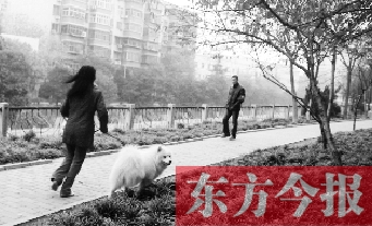 12月3日，鄭州市南關街熊兒河旁，一名遛狗的女子見到執(zhí)法人員檢查，迅速跑開