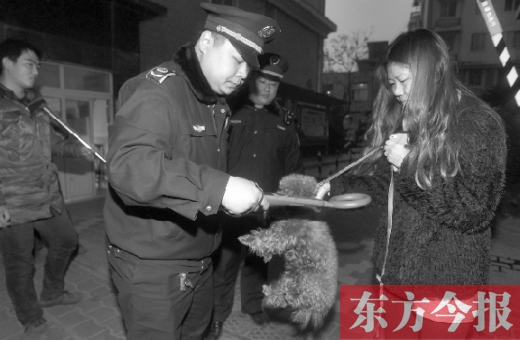 12月3日早上6點半，鄭州市南關街熊兒河旁，南關街辦事處的執(zhí)法人員對狗進行排查