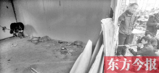 12月4日，鄭州市未來路與隴海路交叉口西側(cè)，執(zhí)法人員用吹管麻醉針對付一只藏獒